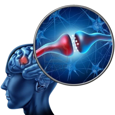 Best Neurologist in India